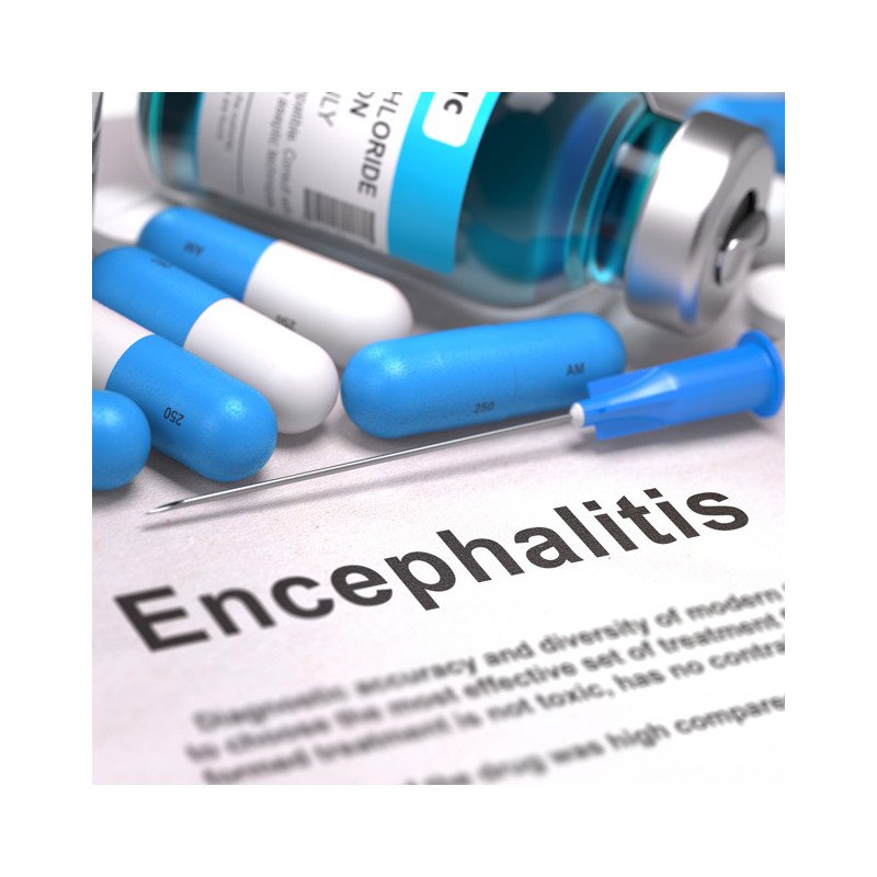 Tick Borne Encephalitis* 